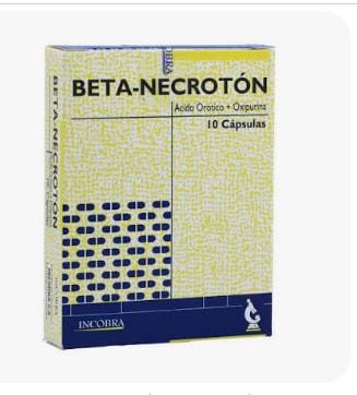 WhatsApp Image 2026-09-22 at 3.23.00 PM (6) Beta-Necrotón - Imagen 1